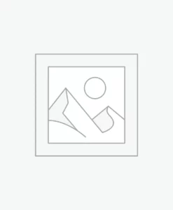 Nơi nhập dữ liệu